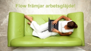 Öka arbetsglädjen med flow - Internov