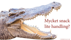 Mycket snack och lite handling - Internova