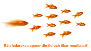 Rätt ledarskap sparar din tid och ökar resultatet - web