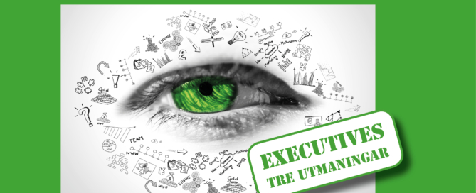Executives tre utmaningar