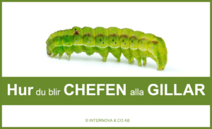 Hur du blir chefen alla gillar