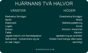 Använda hjärnan bättre i arbetet - hjärnans två hjärnhalvor
