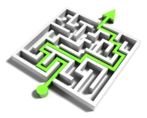 Become a Great Leader