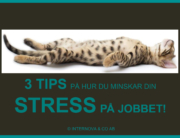 3 tips på hur du minskar din stress på jobbet
