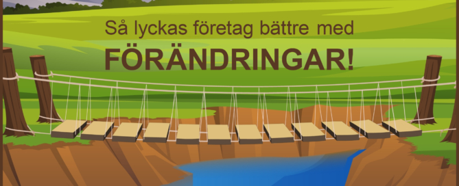 Så lyckas företag bättre med förändring - Internova